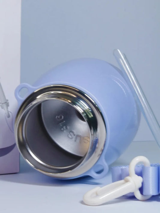 Cille Kids Insulated Water Bottle, 316 Stainless Steel Sippy Cup with Straw