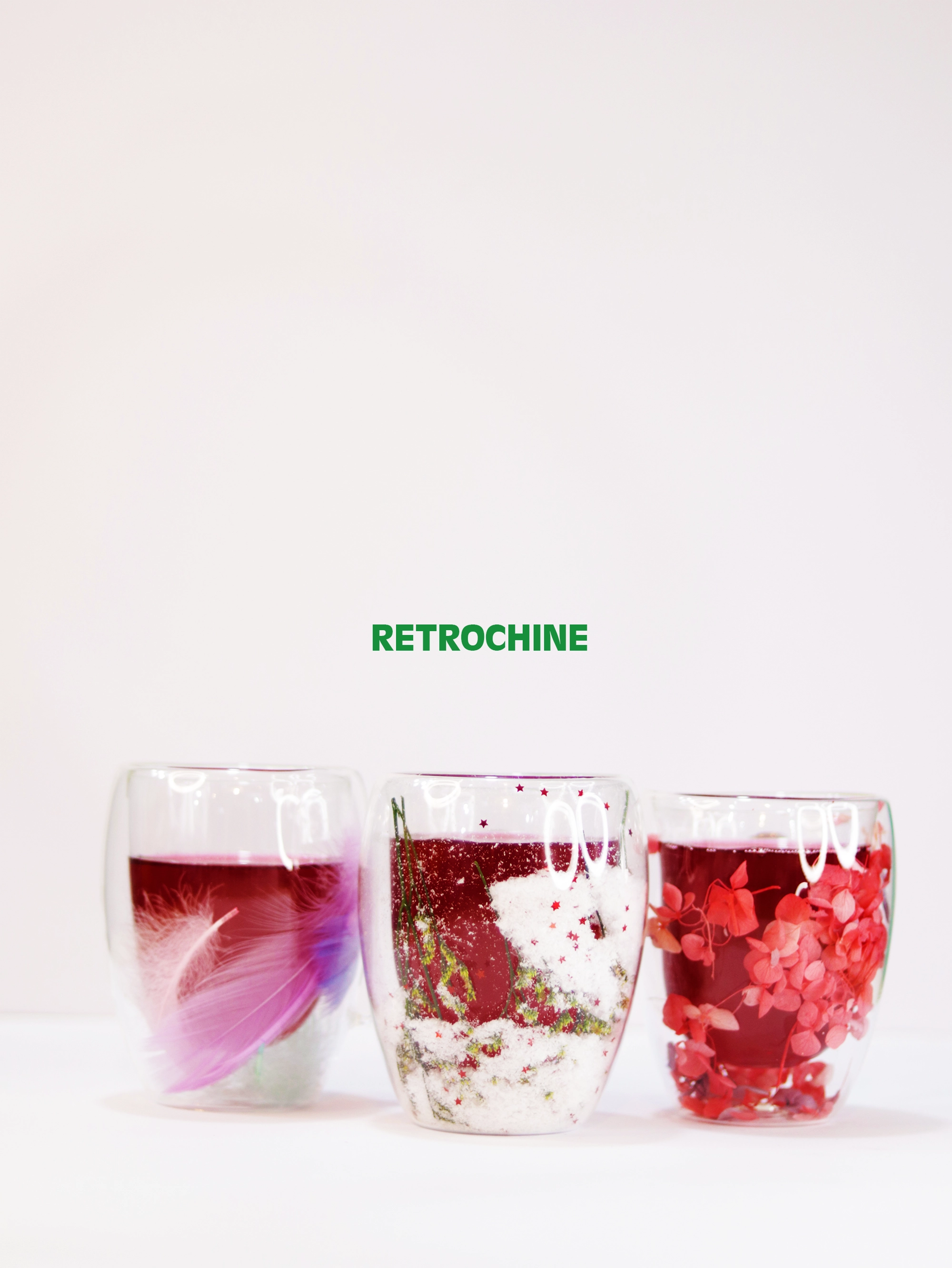 Floral Double Wall Glass Cup with Handle